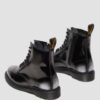 1460 ZIP Arcadia Leather Boots